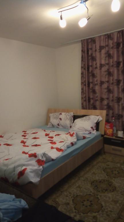 Central Apartment 2 Timișoara Zewnętrze zdjęcie