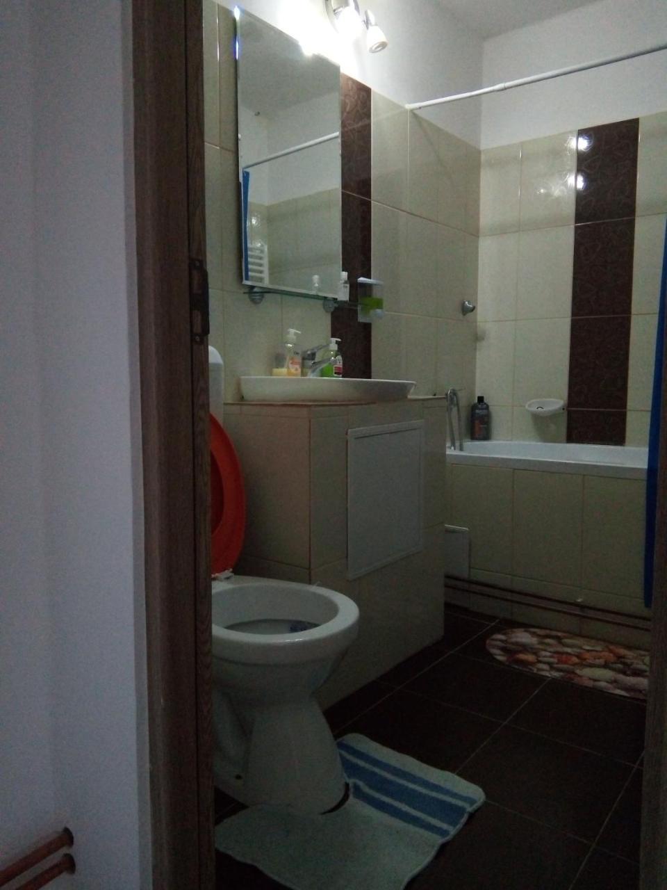 Central Apartment 2 Timișoara Zewnętrze zdjęcie